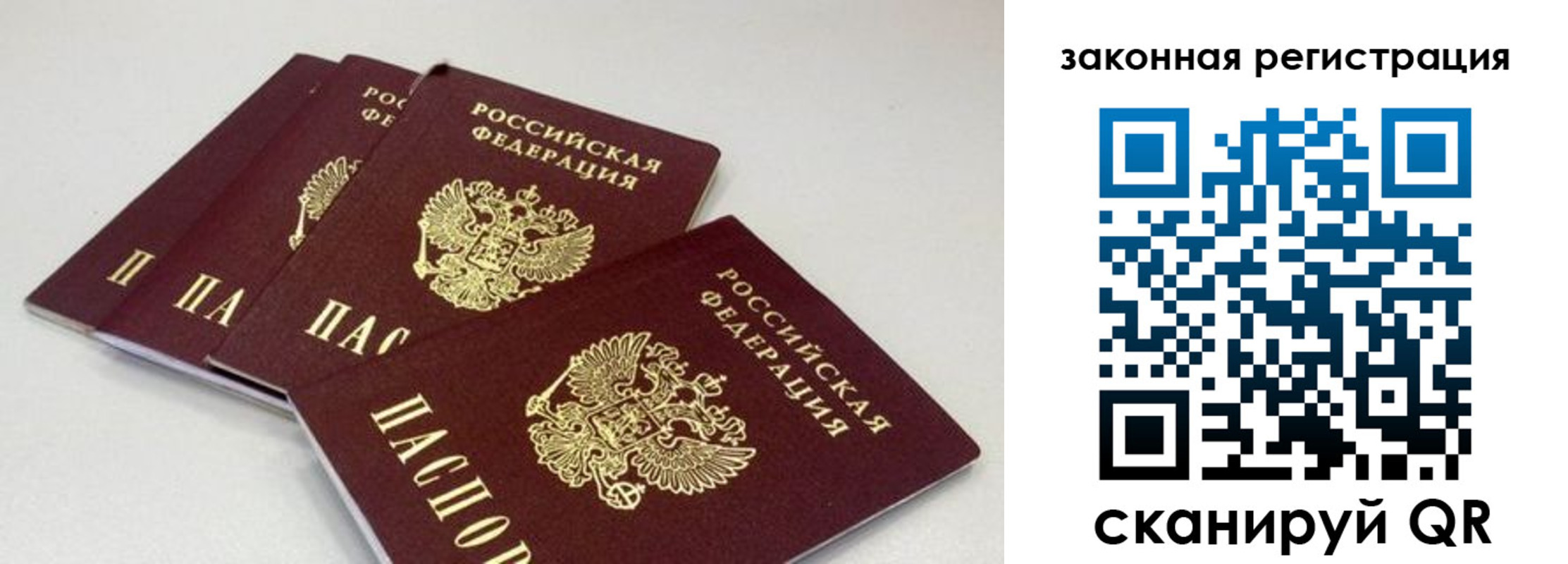 временная регистрация в Покрове